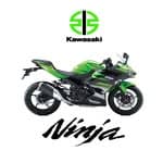 Kawasaki Ninja 250